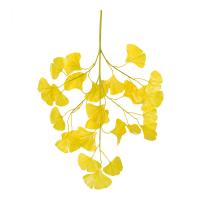 uploads/erp/collection/images/Home Garden/CongDing/XU0611547/img_b/XU0611547_img_b_5